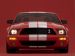 Shelby Shelby Cobra GT500 Picture #76